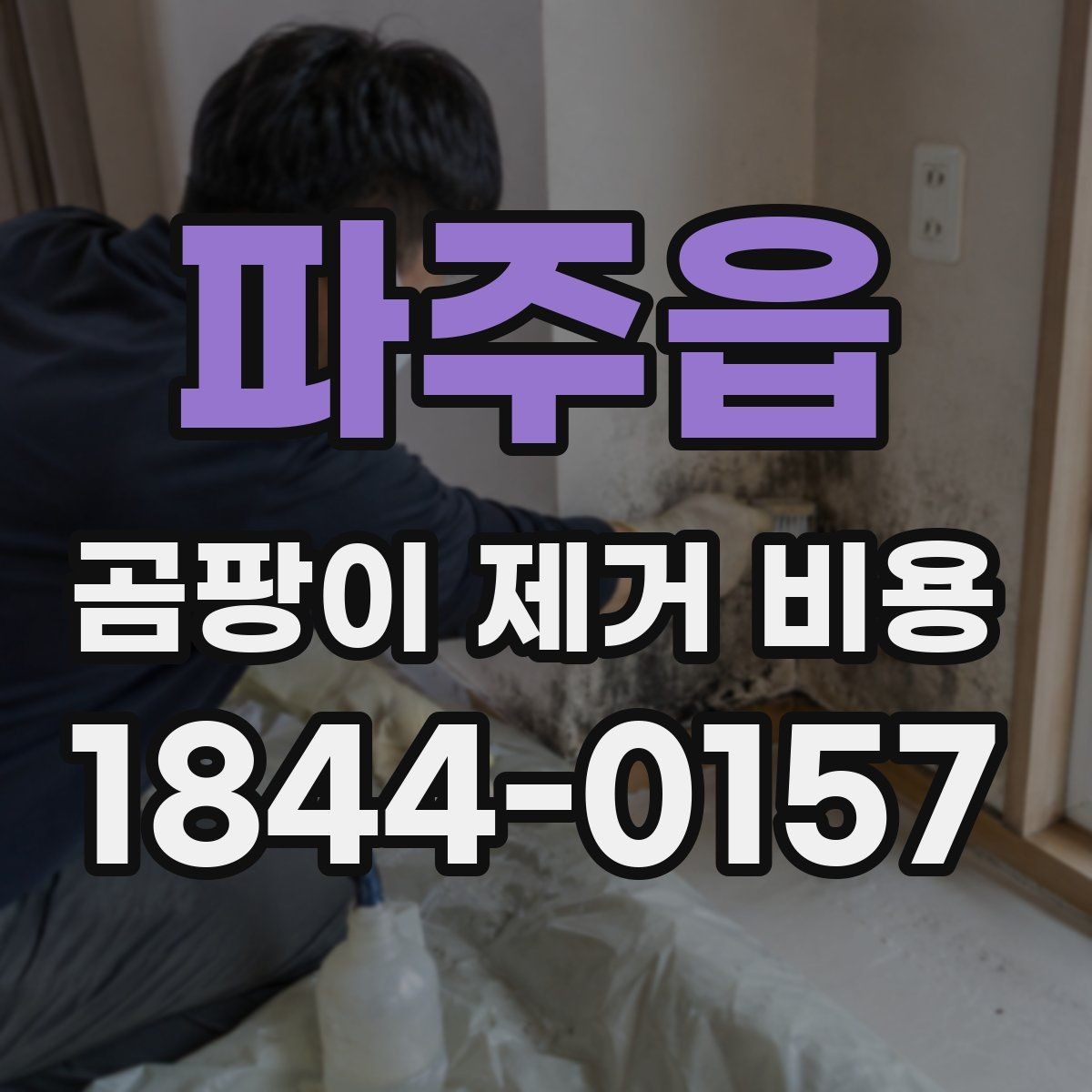 파주읍 곰팡이 제거 비용 업체 선택 기준은 무엇이 다를까