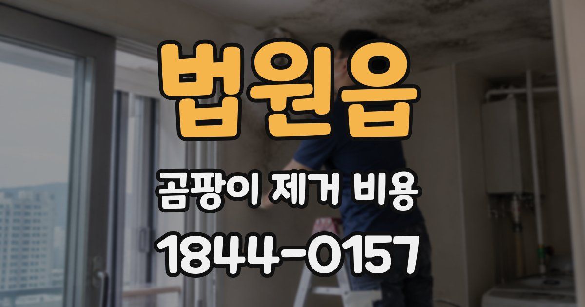 법원읍 곰팡이 제거 비용