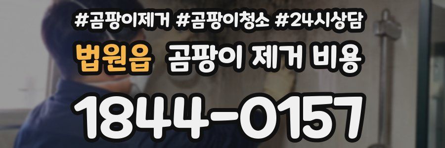 법원읍 곰팡이 제거 비용
