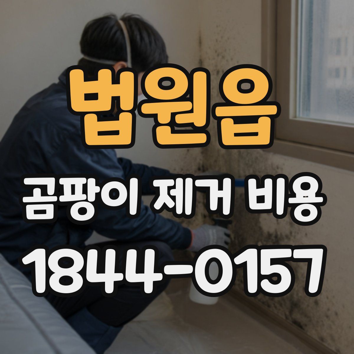 법원읍 곰팡이 제거 비용