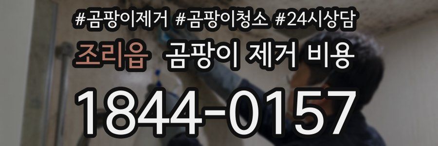 조리읍 곰팡이 제거 비용