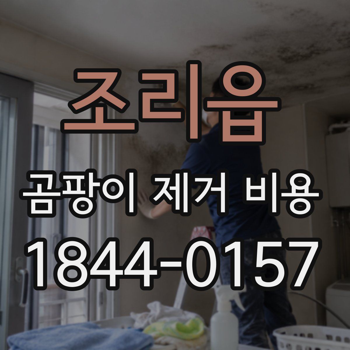조리읍 곰팡이 제거 비용
