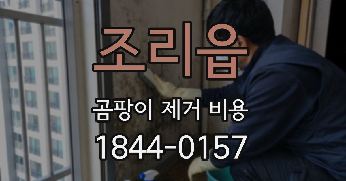조리읍 곰팡이 제거 비용