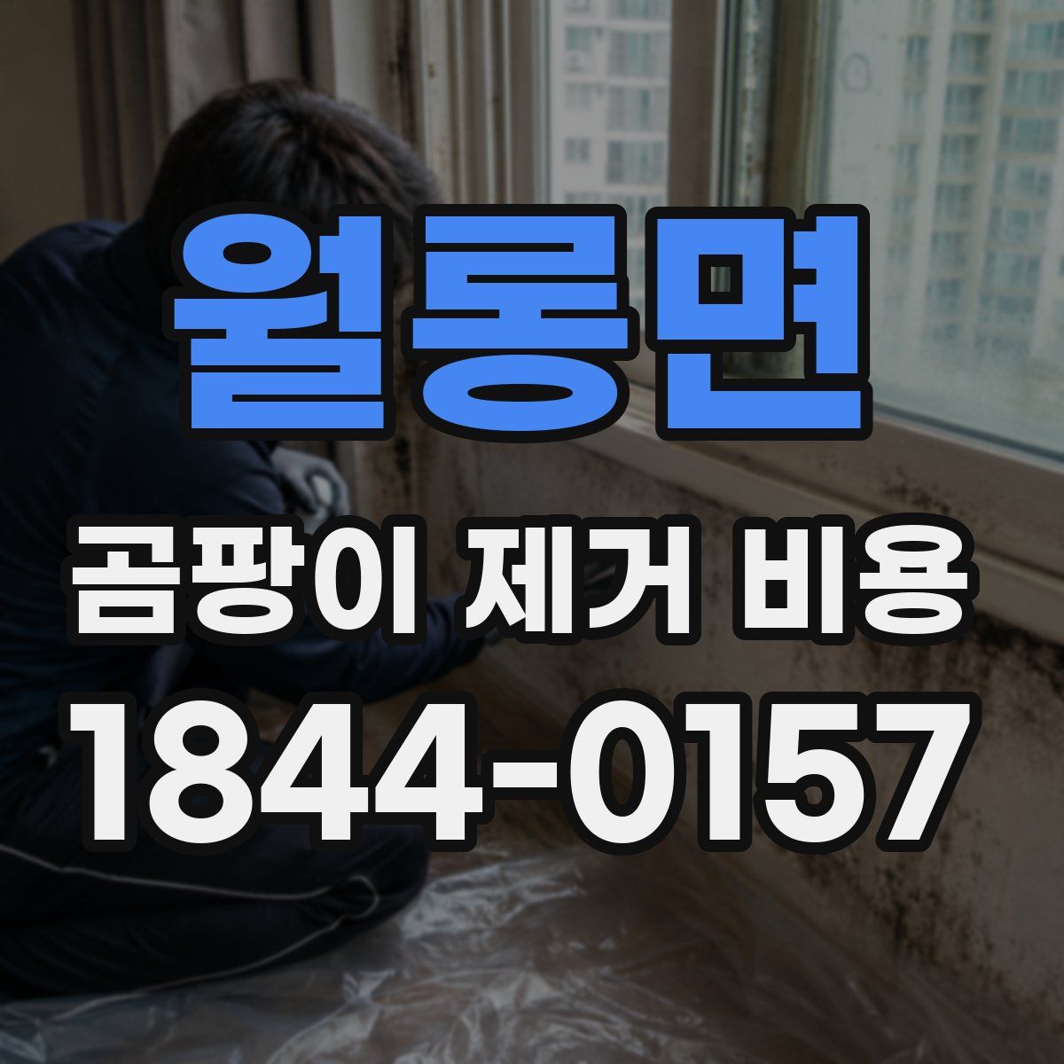 월롱면 곰팡이 제거 비용