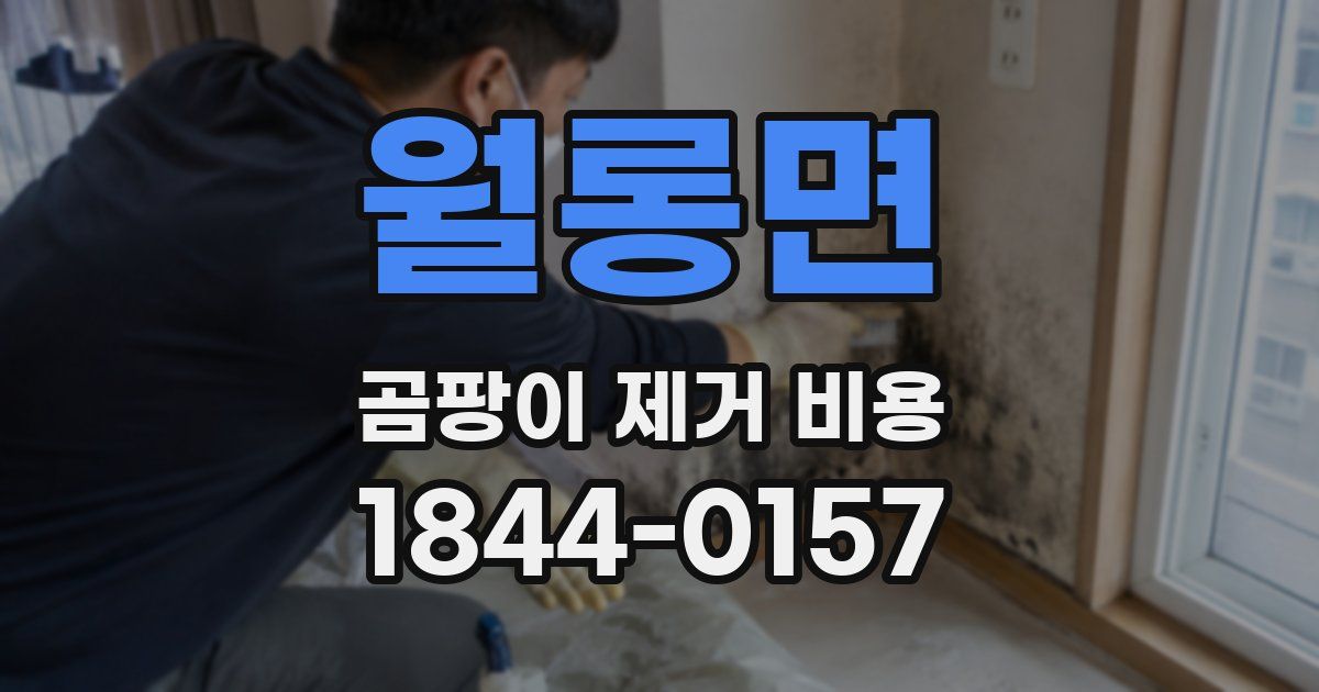 월롱면 곰팡이 제거 비용