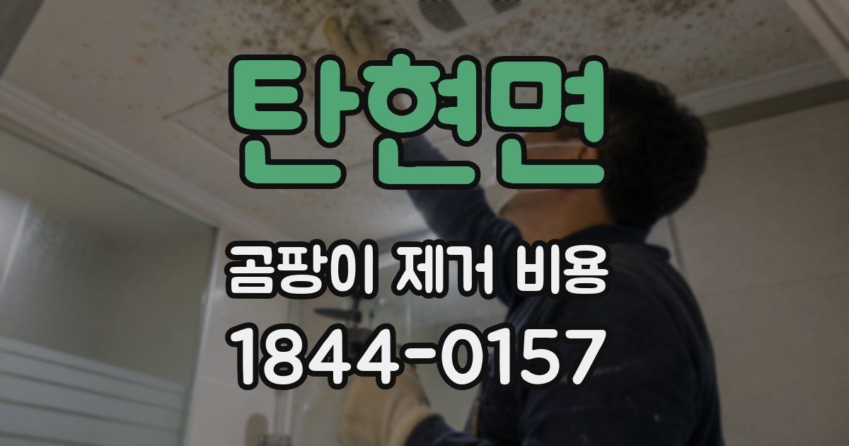 탄현면 곰팡이 제거 비용