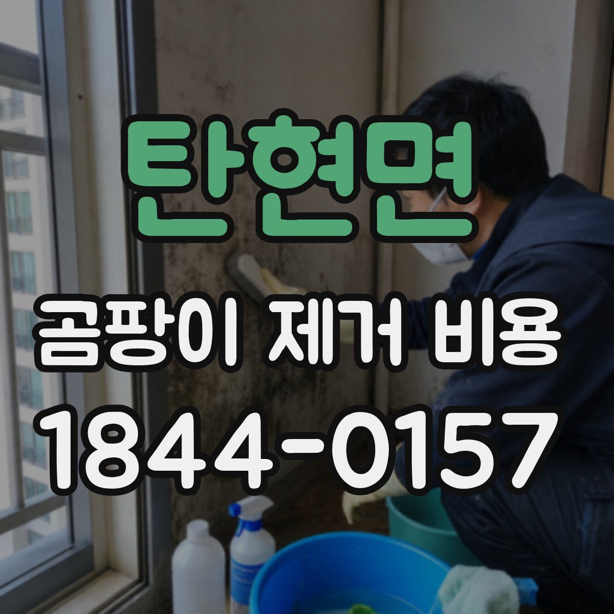 탄현면 곰팡이 제거 비용