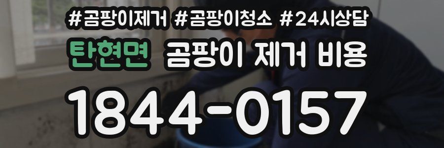 탄현면 곰팡이 제거 비용