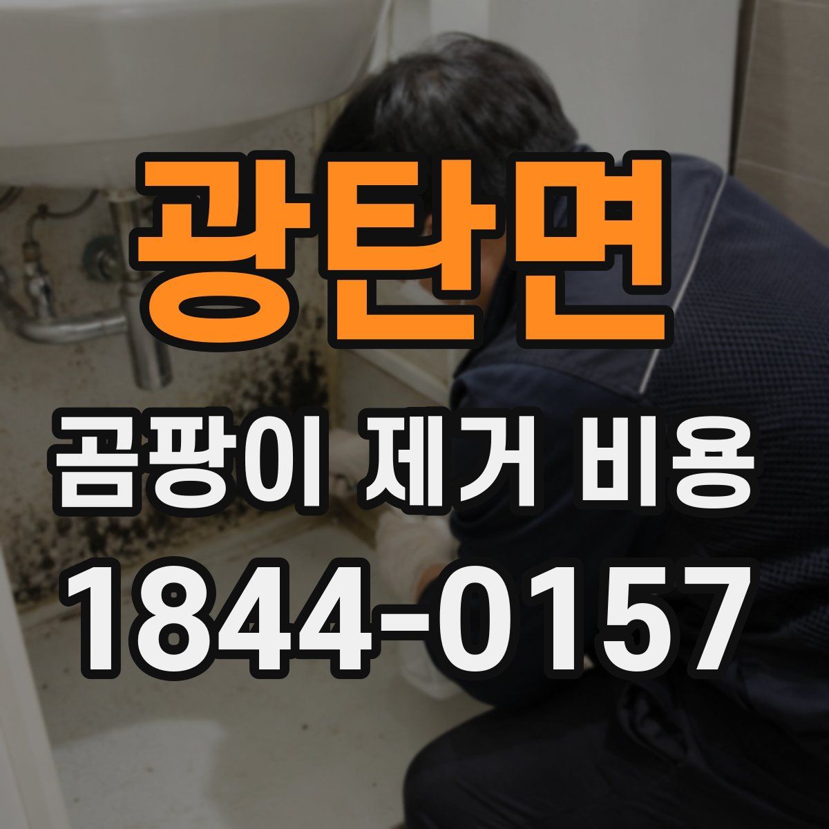 광탄면 곰팡이 제거 비용