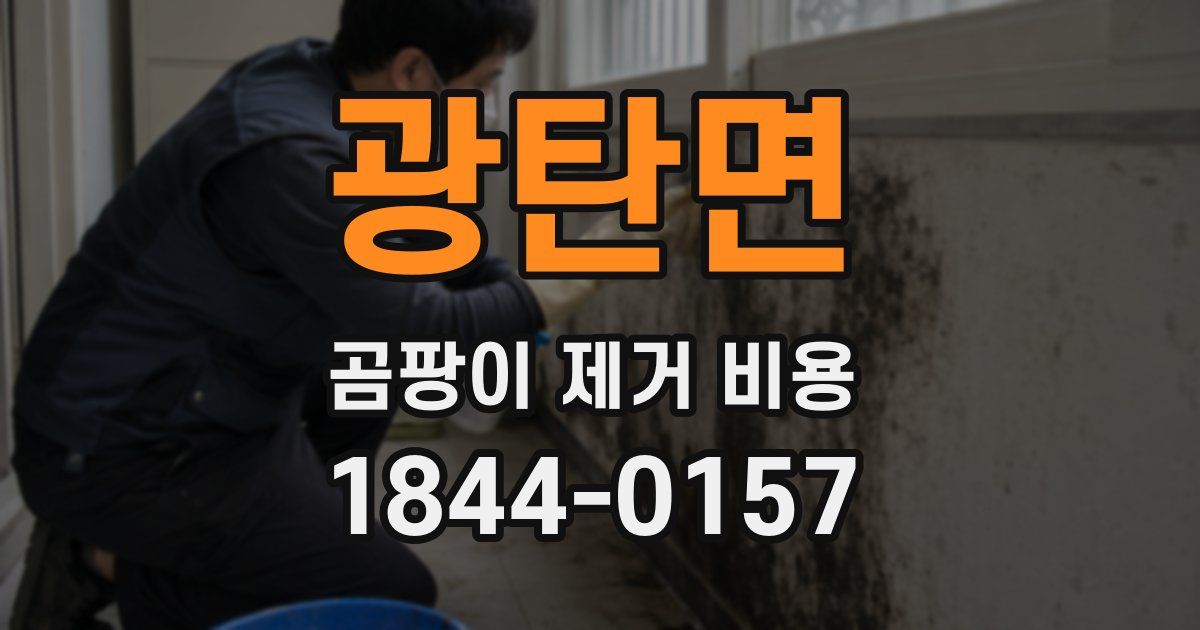 광탄면 곰팡이 제거 비용