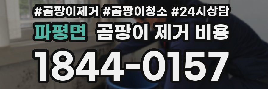 파평면 곰팡이 제거 비용