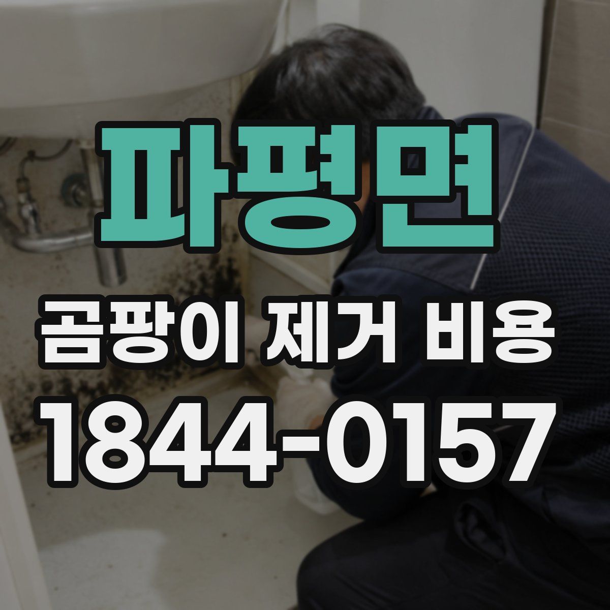 파평면 곰팡이 제거 비용