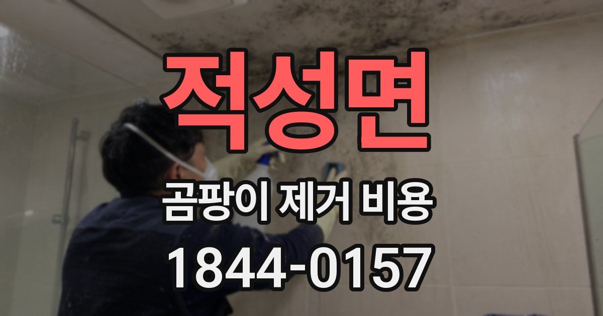 적성면 곰팡이 제거 비용