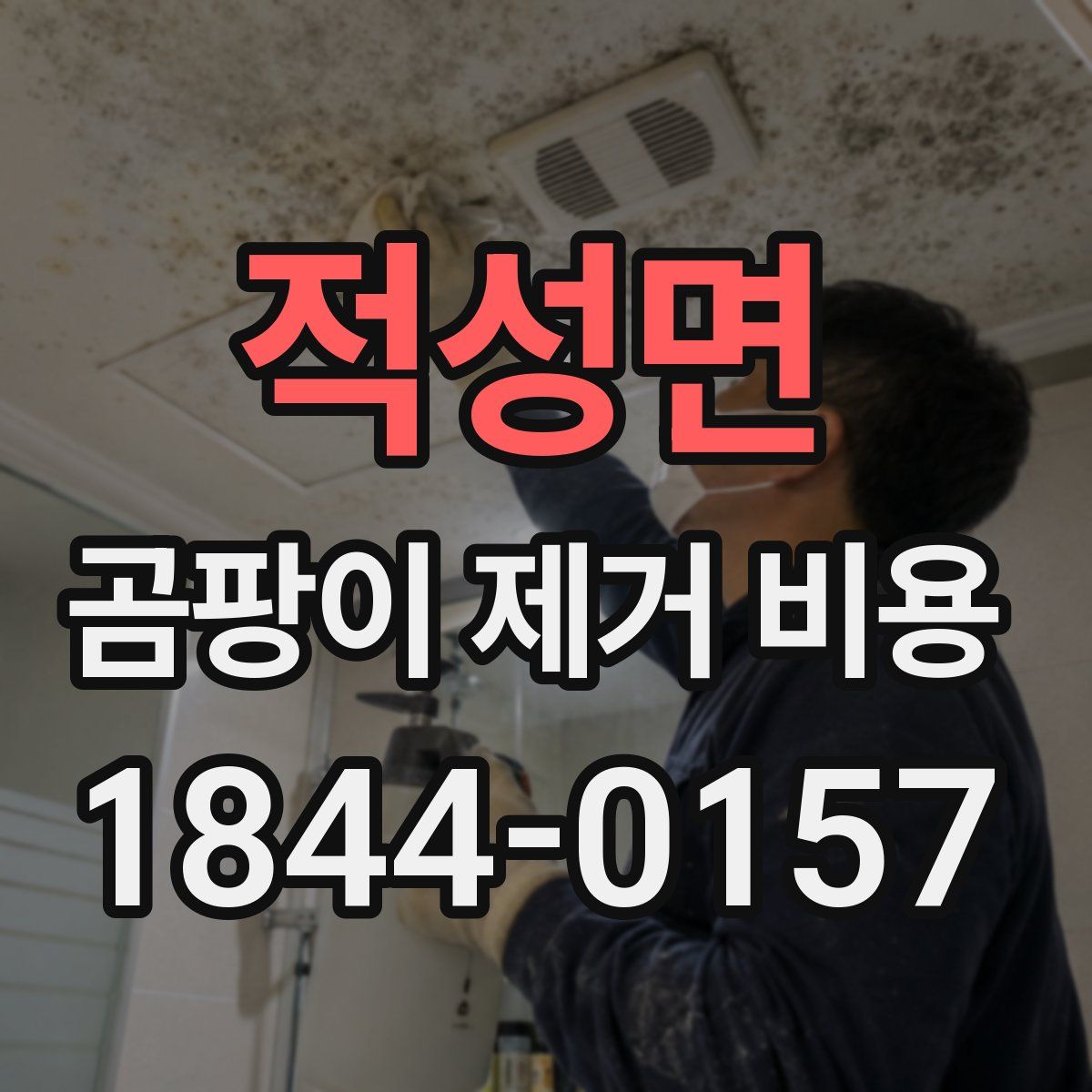 적성면 곰팡이 제거 비용