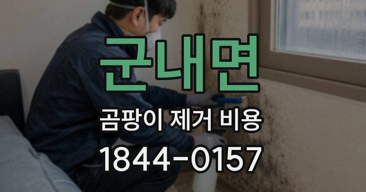 군내면 곰팡이 제거 비용