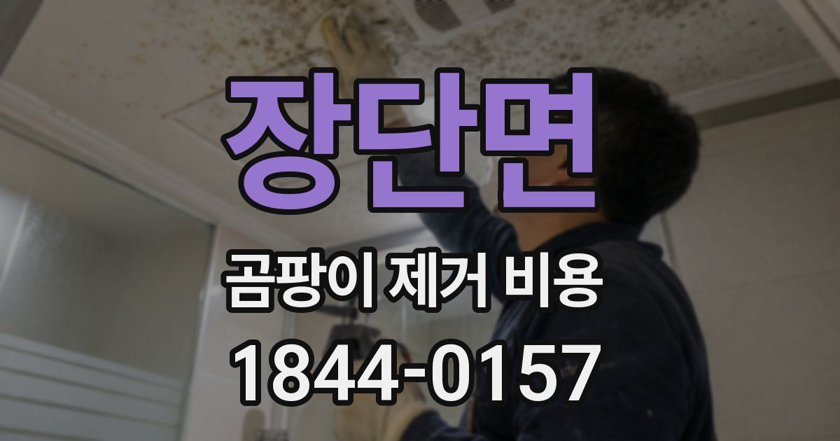 장단면 곰팡이 제거 비용
