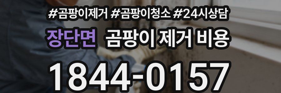 장단면 곰팡이 제거 비용