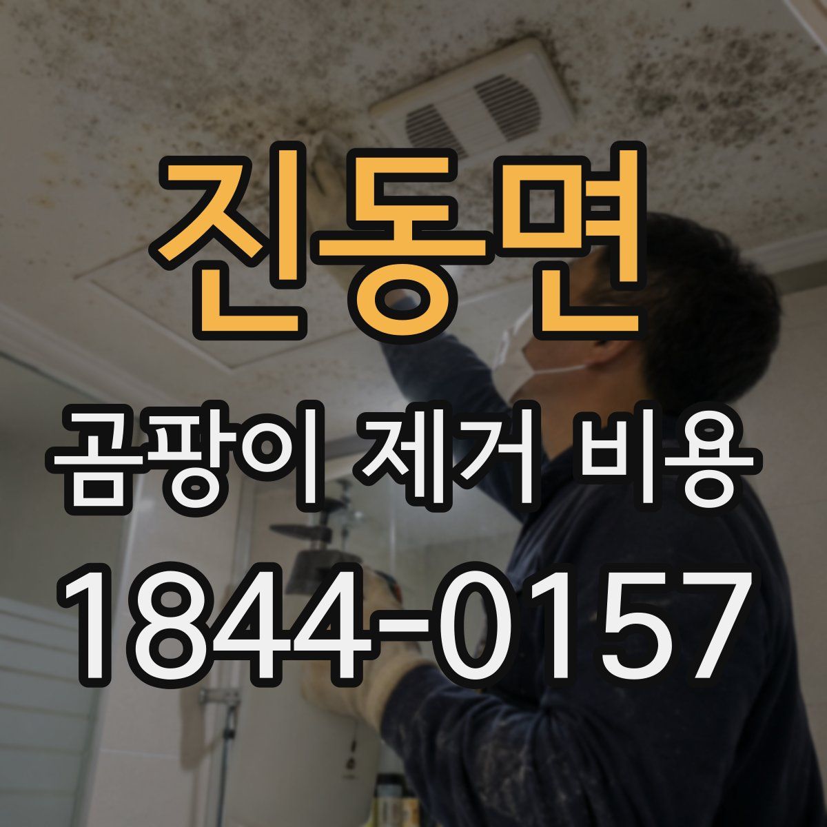 진동면 곰팡이 제거 비용