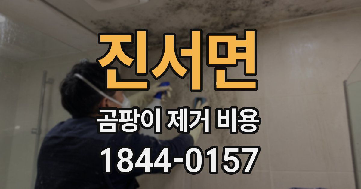 진서면 곰팡이 제거 비용