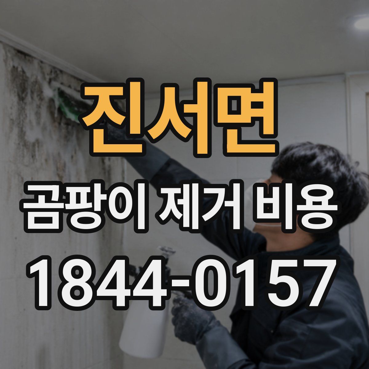 진서면 곰팡이 제거 비용