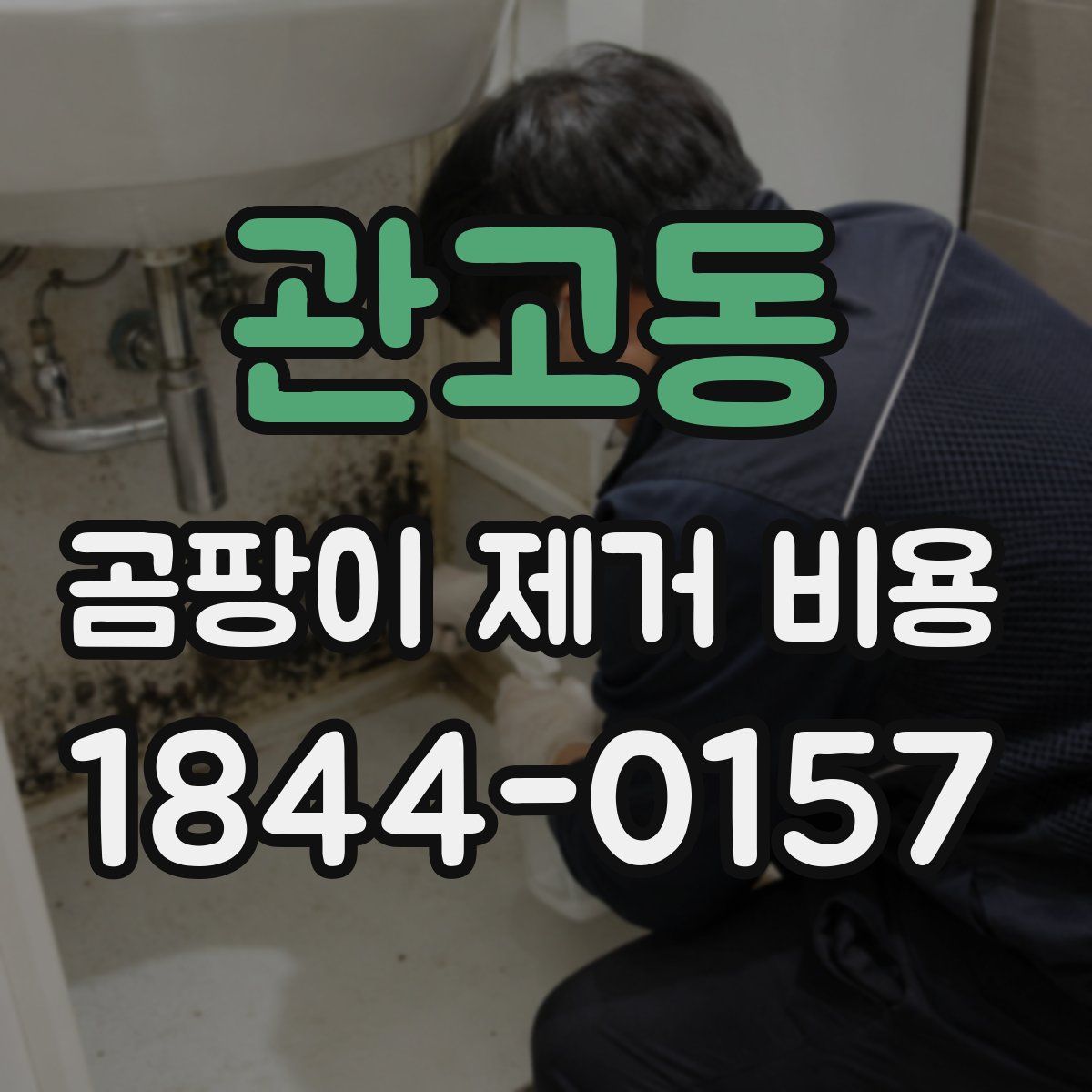 관고동 곰팡이 제거 비용