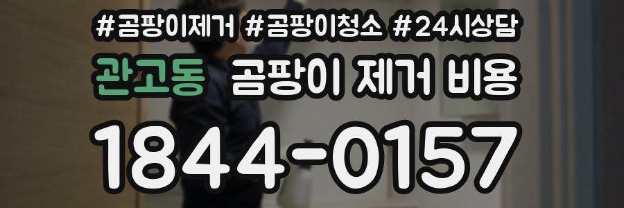 관고동 곰팡이 제거 비용