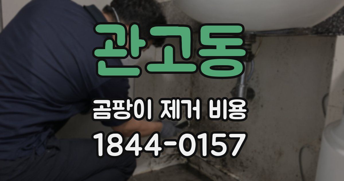 관고동 곰팡이 제거 비용