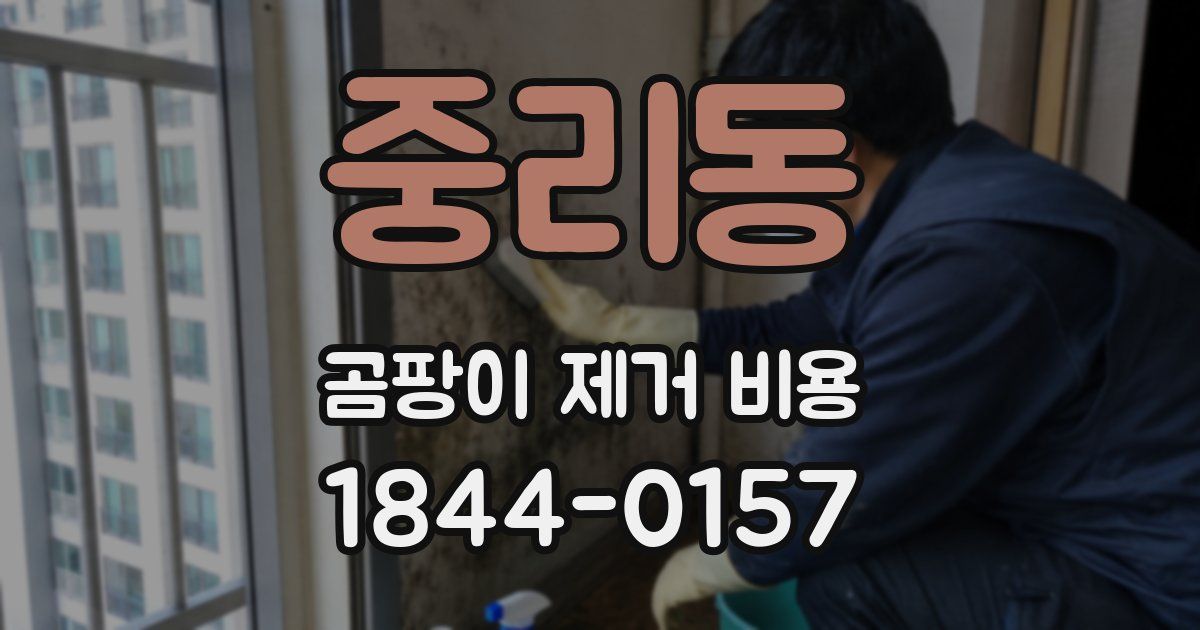 중리동 곰팡이 제거 비용