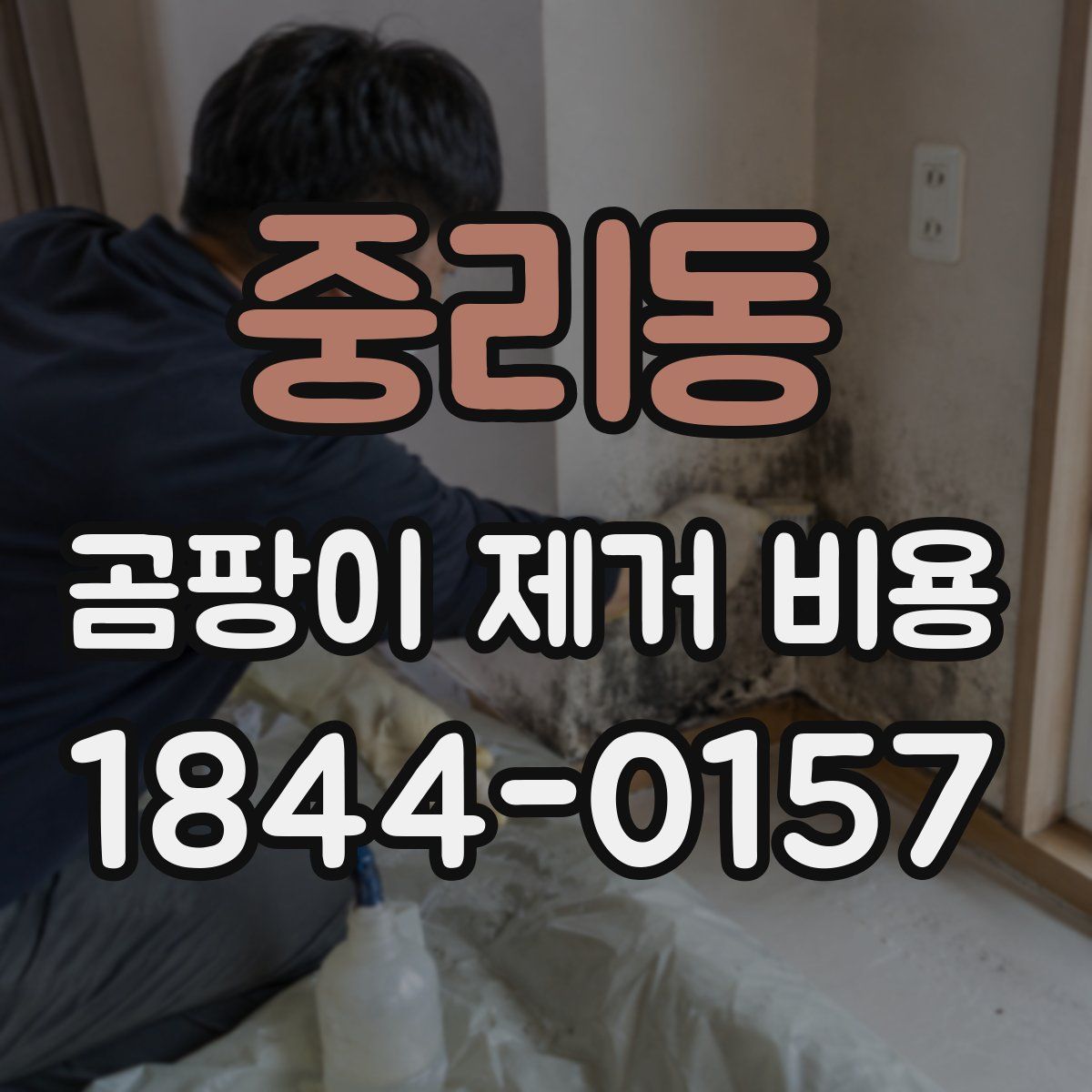 중리동 곰팡이 제거 비용