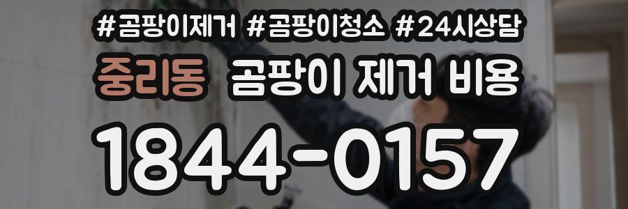 중리동 곰팡이 제거 비용
