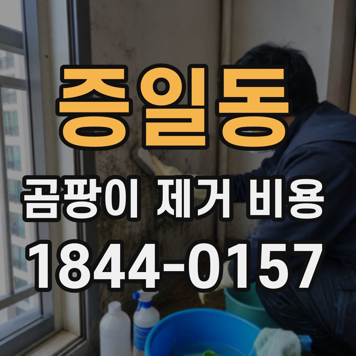 증일동 곰팡이 제거 비용