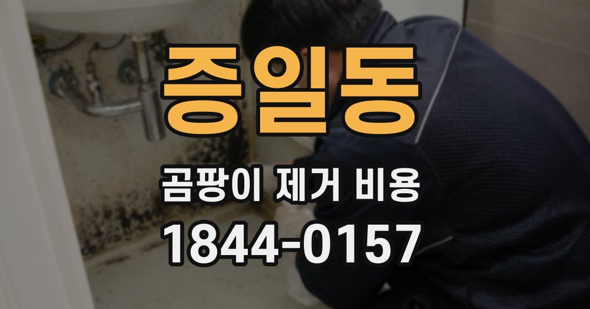 증일동 곰팡이 제거 비용