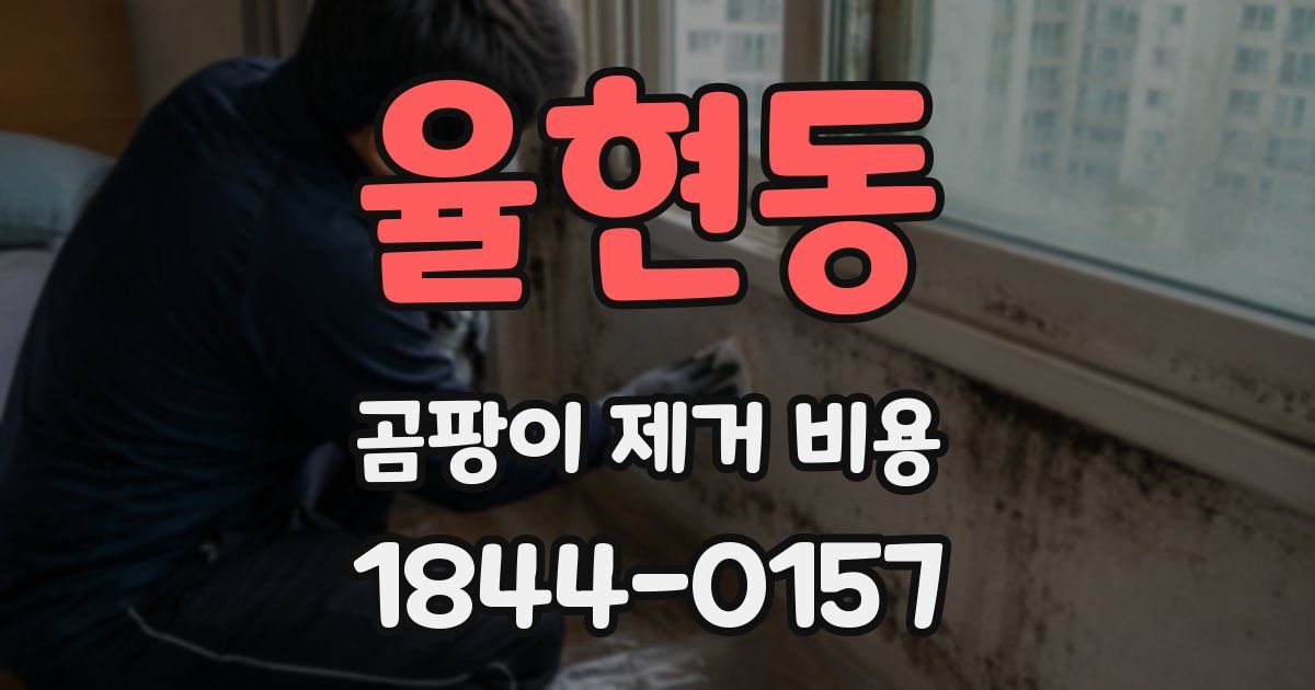 율현동 곰팡이 제거 비용