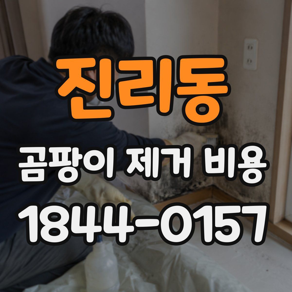 진리동 곰팡이 제거 비용