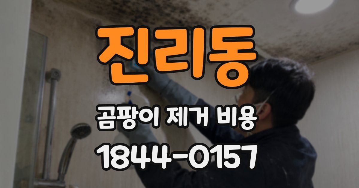 진리동 곰팡이 제거 비용