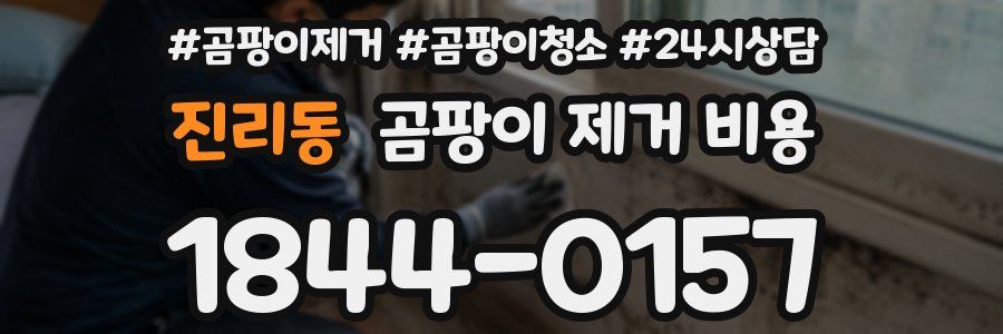 진리동 곰팡이 제거 비용