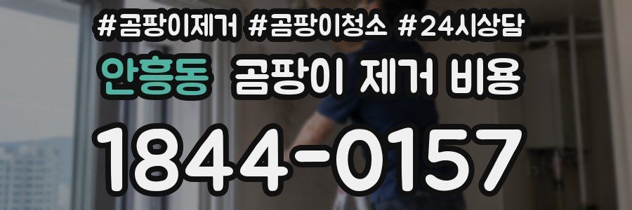 안흥동 곰팡이 제거 비용