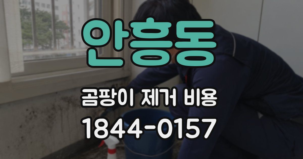안흥동 곰팡이 제거 비용