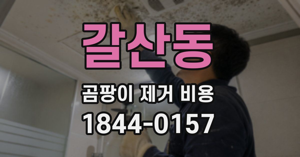 갈산동 곰팡이 제거 비용