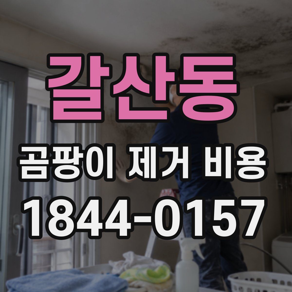 갈산동 곰팡이 제거 비용
