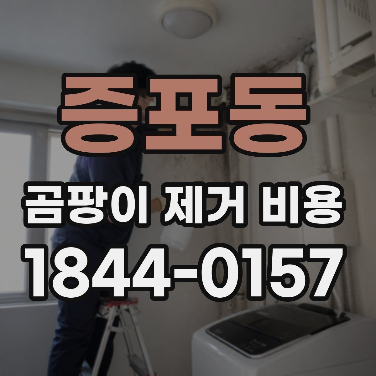 증포동 곰팡이 제거 비용 보양·이동 비용이 추가되는 상황 정리