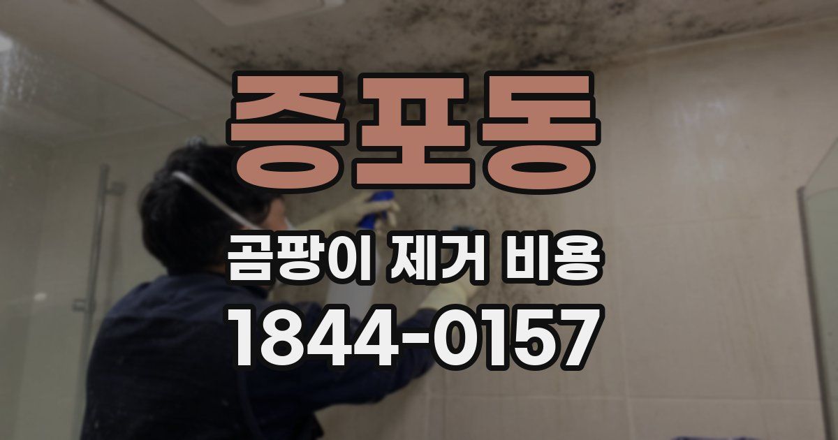 증포동 곰팡이 제거 비용
