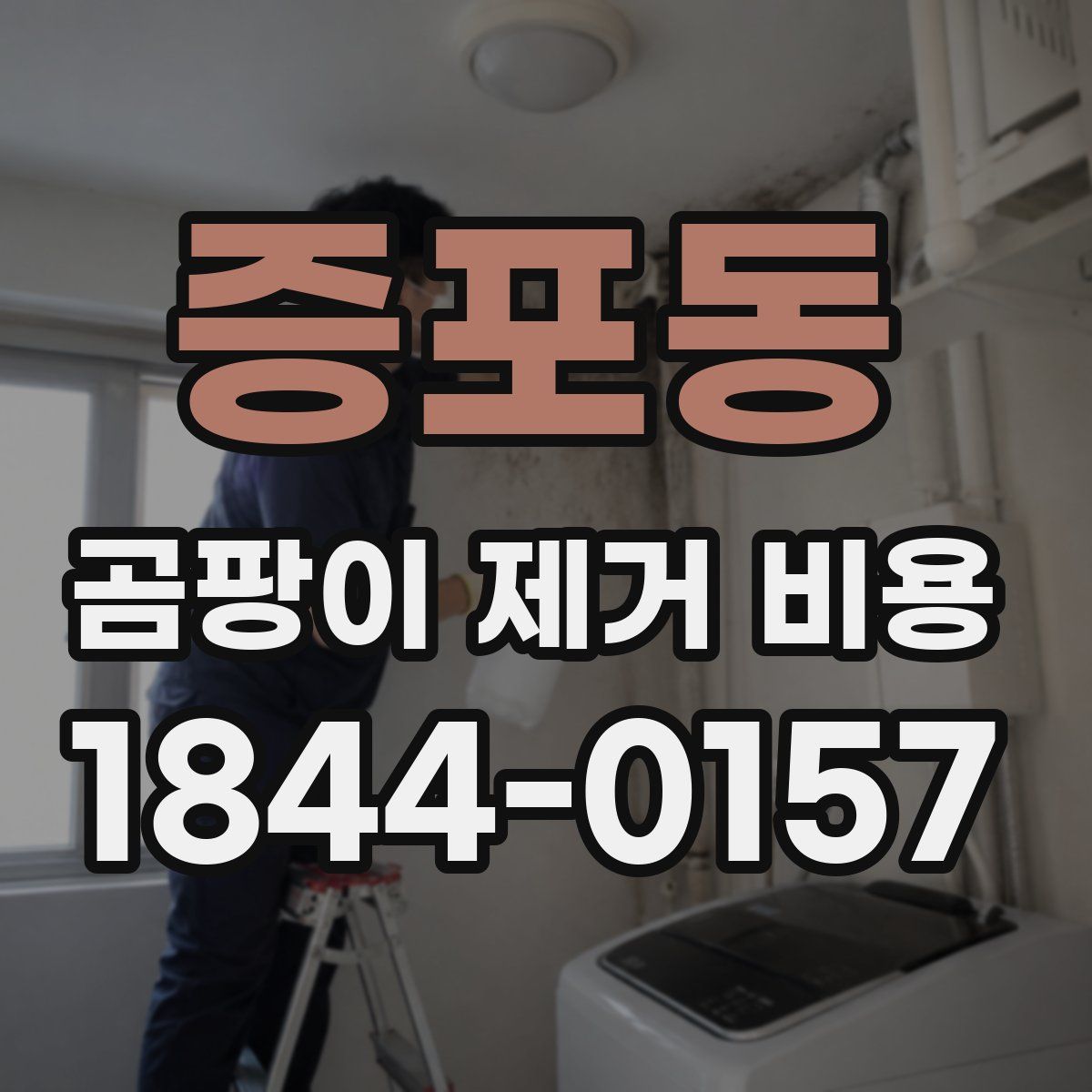 증포동 곰팡이 제거 비용