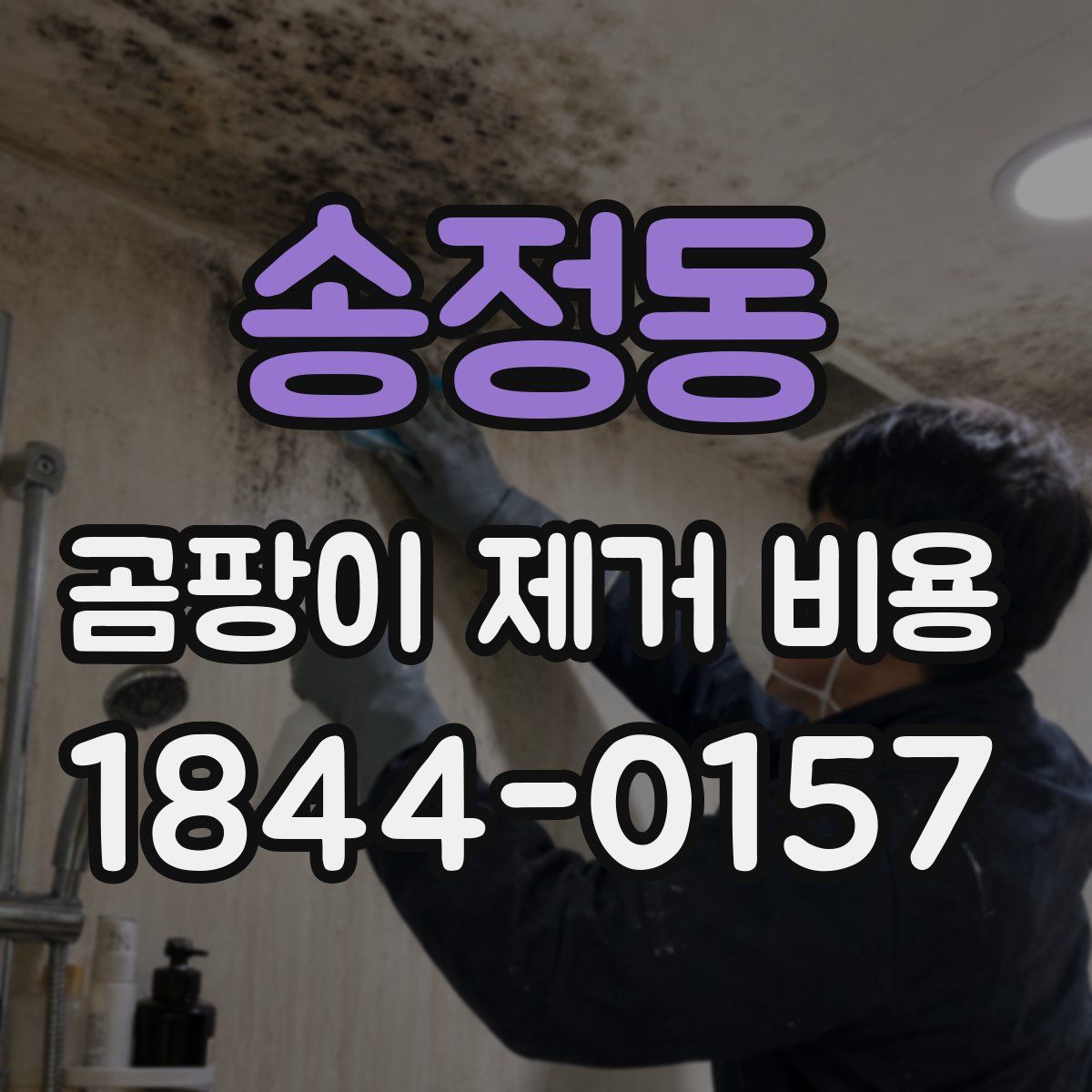 송정동 곰팡이 제거 비용