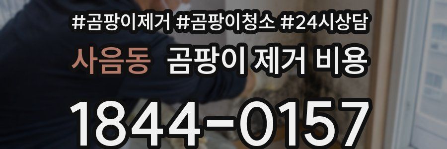 사음동 곰팡이 제거 비용