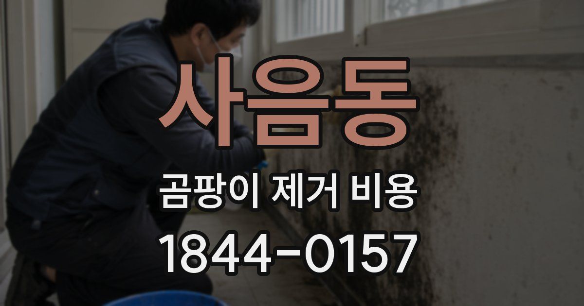 사음동 곰팡이 제거 비용