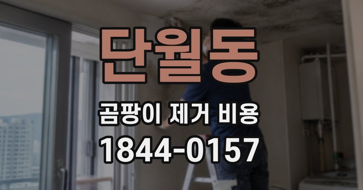 단월동 곰팡이 제거 비용