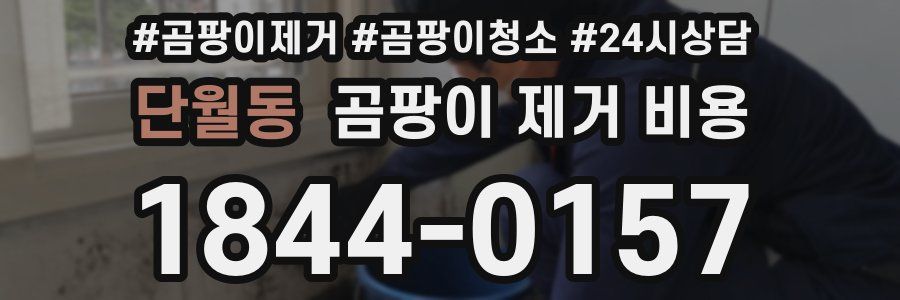 단월동 곰팡이 제거 비용