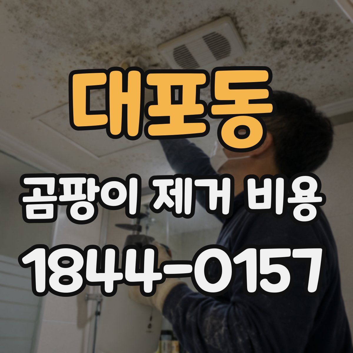 대포동 곰팡이 제거 비용