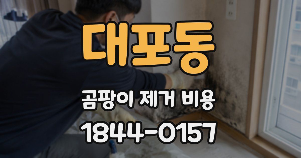 대포동 곰팡이 제거 비용